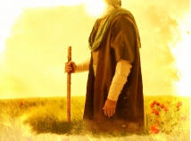 Top Inspirational Quotes by Imam Ali, Part 1